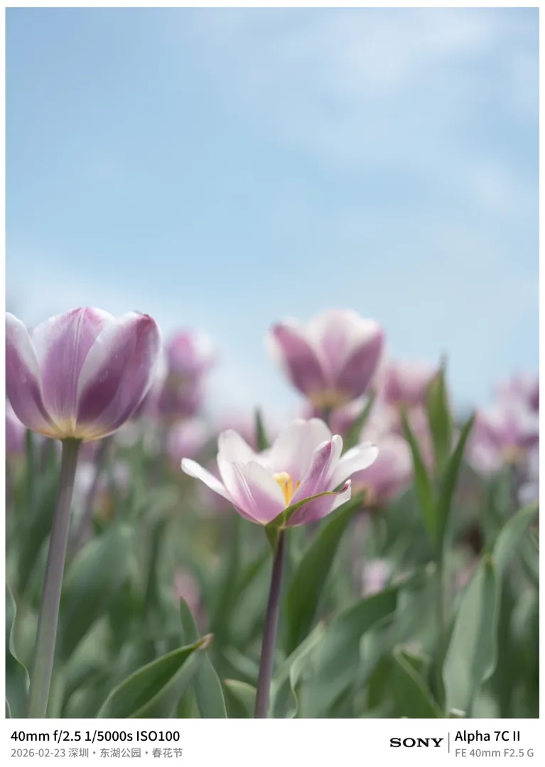 Sony Alpha 7C II frame
