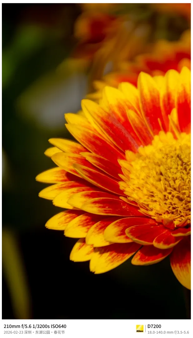 Nikon D7200 frame